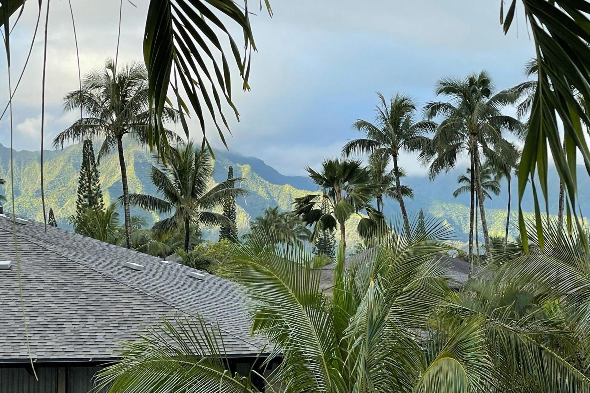 View House Tower! Villa Princeville Exterior photo